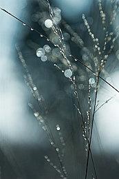 “日本一”2023夏季贺卡暗示新作即将公布